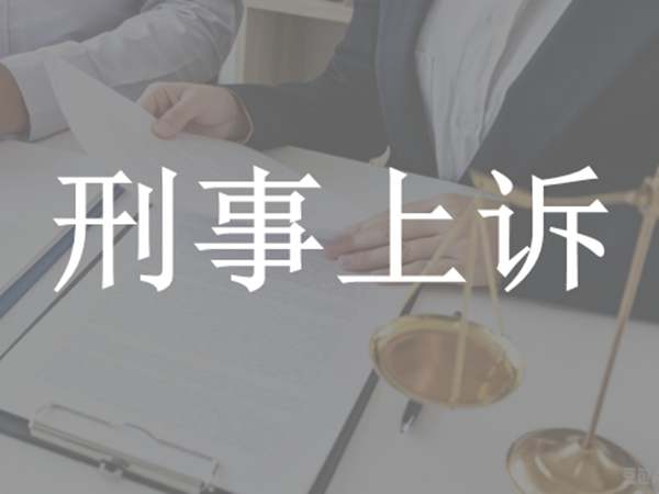 刑事上诉